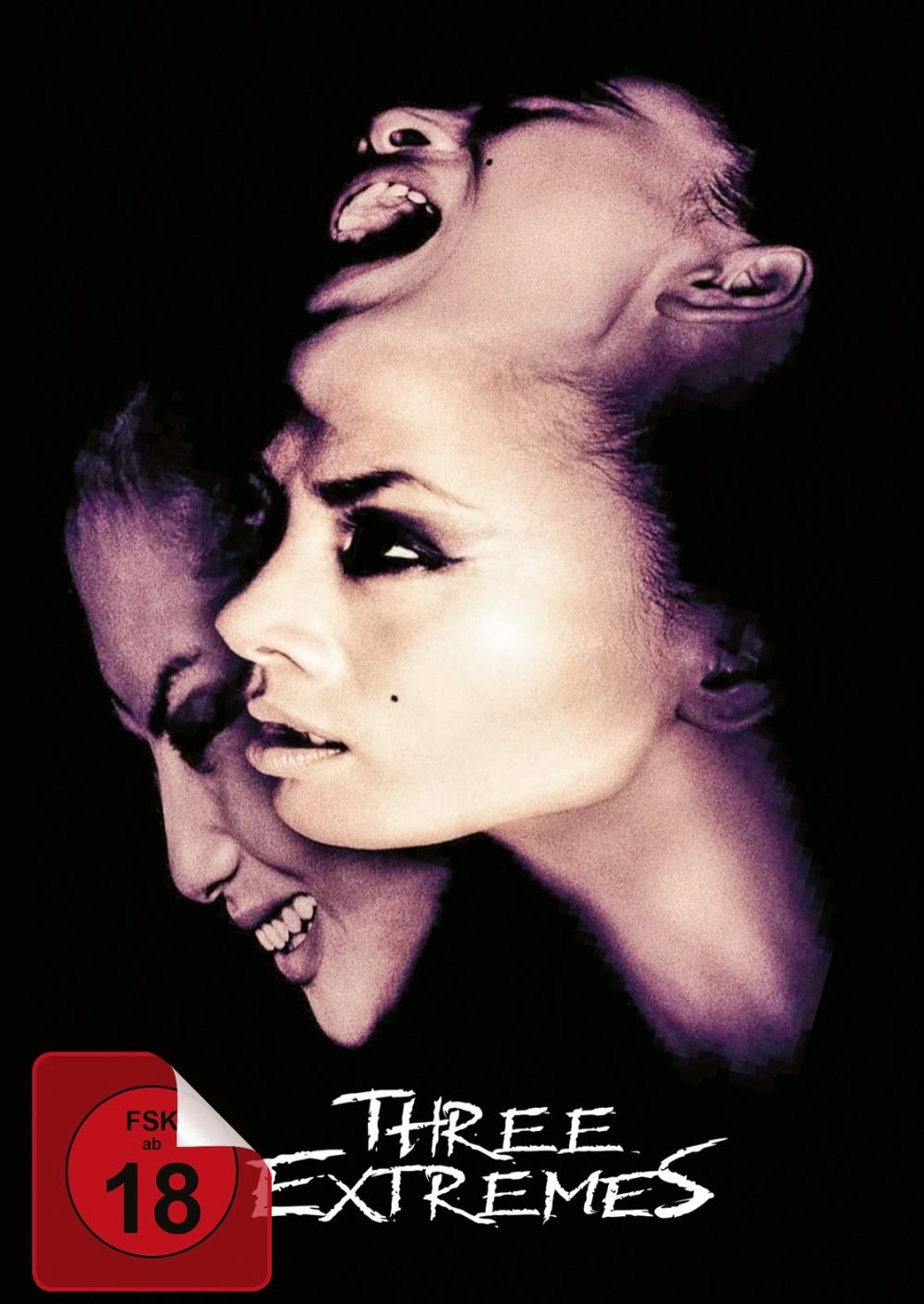 Three Extremes Web Cover